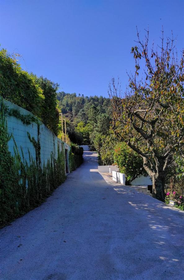 Pera Da Serra - Turismo No Espaco Rural Lousã Εξωτερικό φωτογραφία